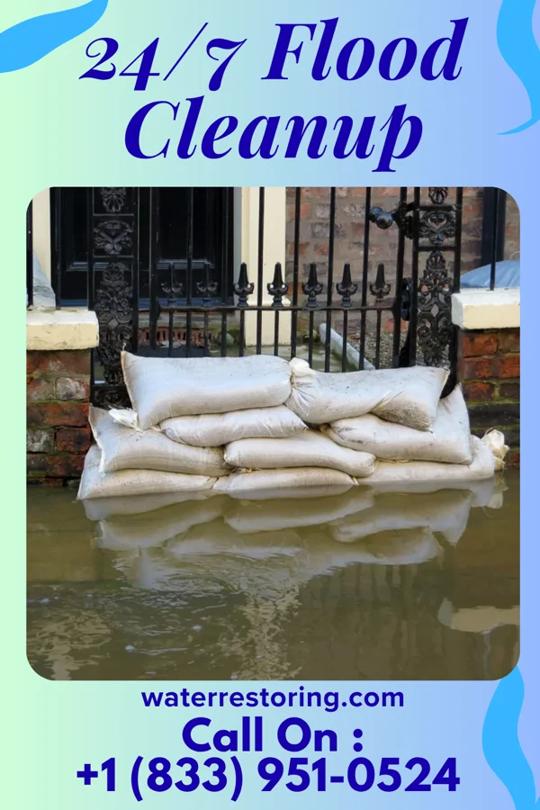 24/7 Flood Cleanup in Mount Clifton, VA