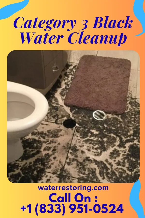 Category 3 Black Water Cleanup in Mount Clifton, VA