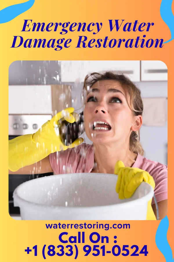 Emergency Water Damage Restoration in Mount Clifton, VA