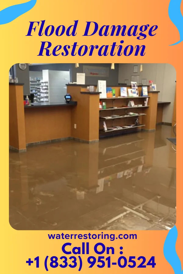 Flood Damage Restoration in Mount Clifton, VA
