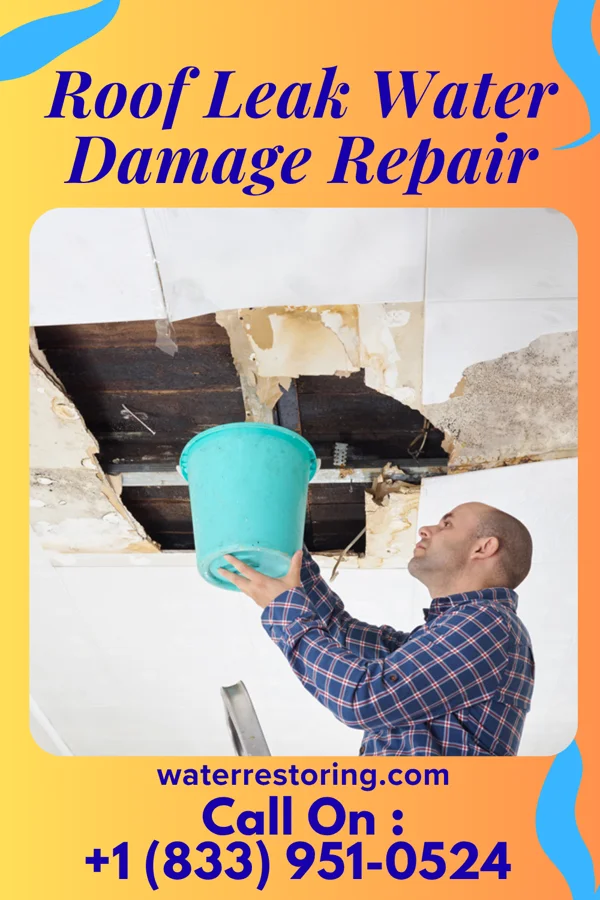 Roof Leak Water Damage Repair in Mount Clifton, VA