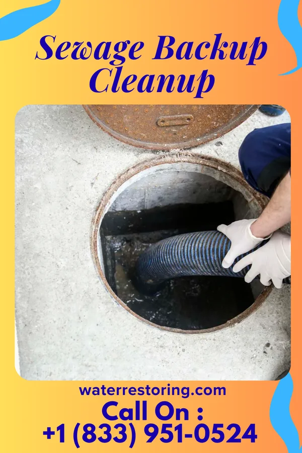 Sewage Backup Cleanup in Mount Clifton, VA